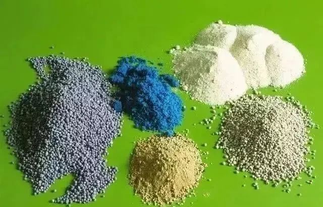 1768966912284390.jpg 1768966912284390.jpg